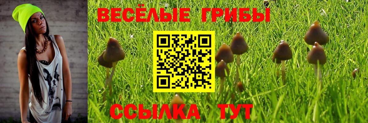 даркнет сайт  Псилоцибиновые грибы Psilocybine cubensis  Вход с VPN  Горячий Ключ 
